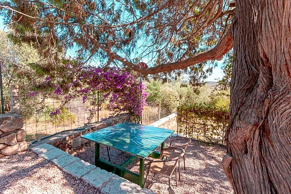 B&B Pettirosso Garden