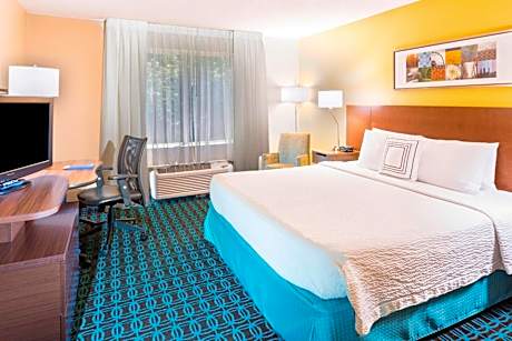 Room, 1 King Bed