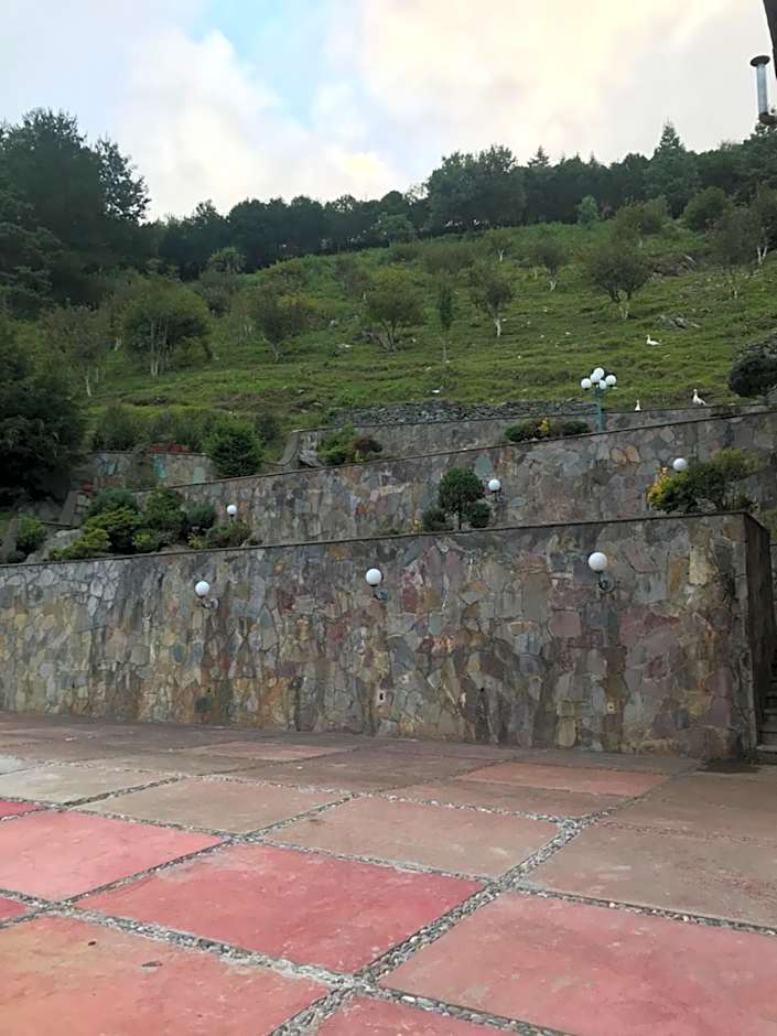 Cabañas 5 Pinos