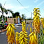 Hotel Rural El Navío - Adults Only