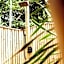 Kini Resort - Oceanfront Bamboo Eco Lodges