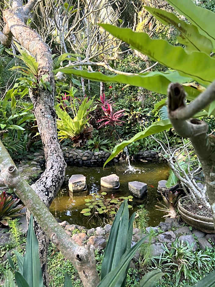 Rumah Kelapa Villa Alami