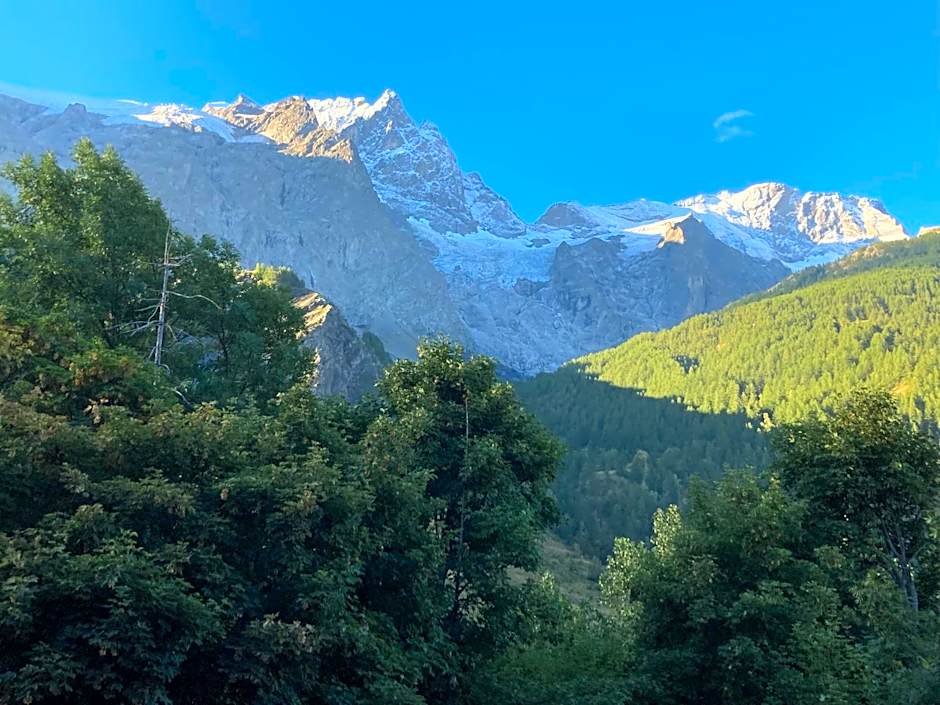 Hôtel des Alpes - Skiers & Bikers Lodge