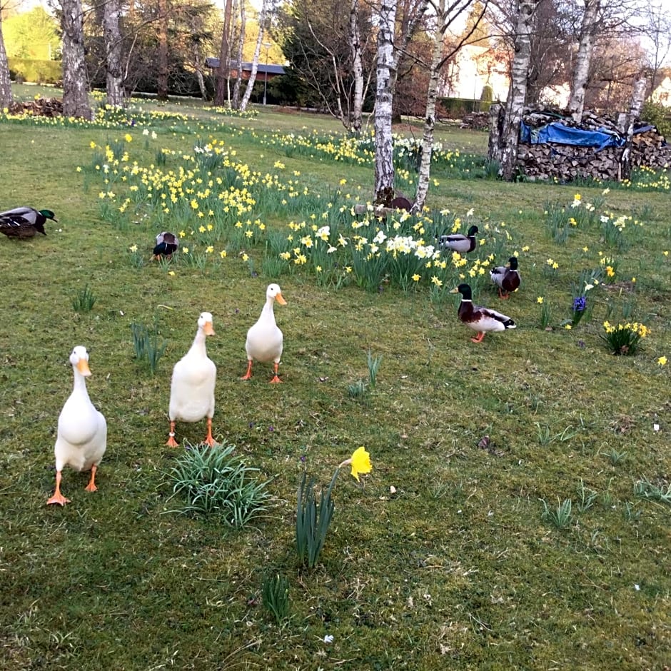 Résidence Clairbois, Chambres d'Hôtes