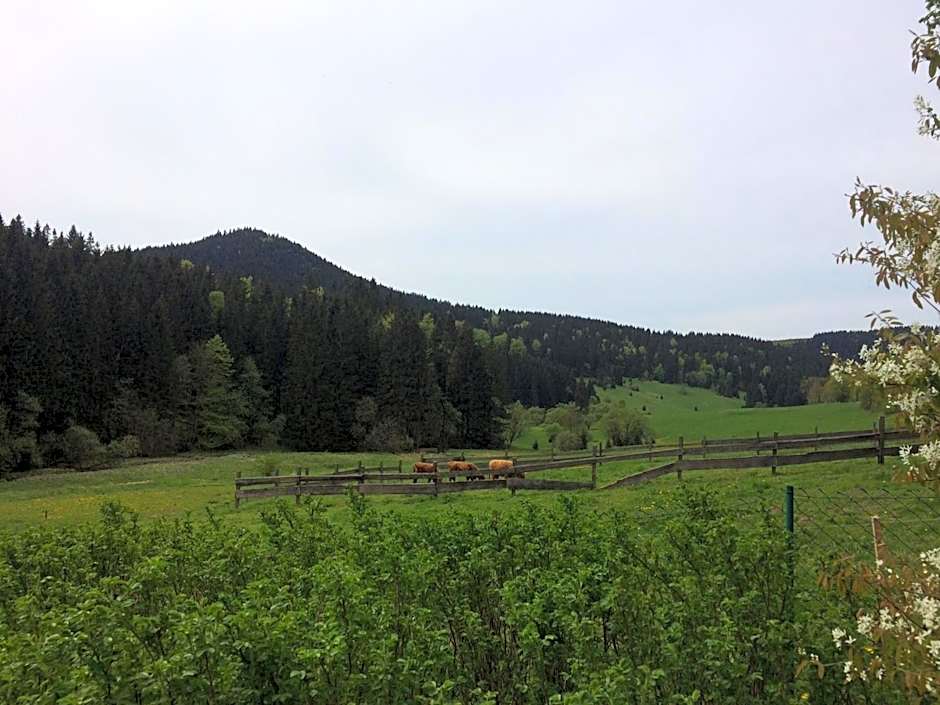Appartements und Ferienhaus Gasthof Kanzlersgrund