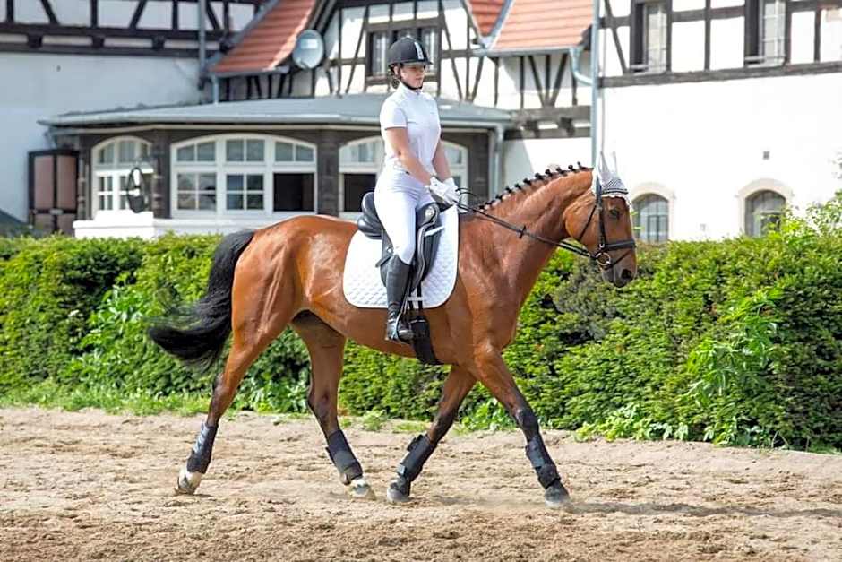 Hotel Przy Oślej Bramie - Zamek Książ