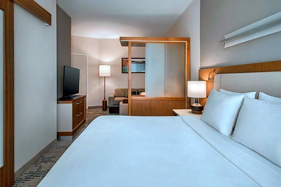 SpringHill Suites by Marriott Buffalo Airport