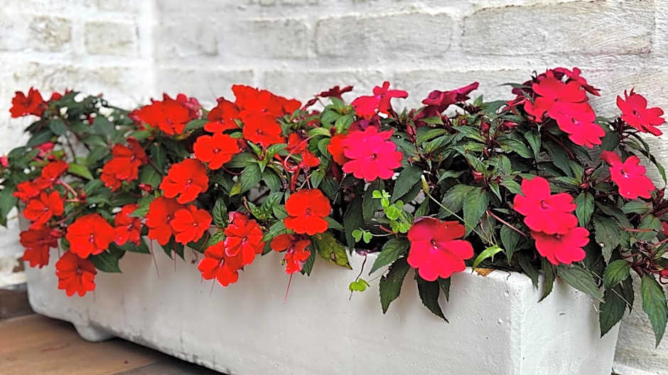 Chalé Vila do Aeroporto