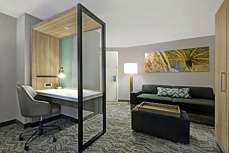 Suite, 1 King Bed with Sofa bed (1 King Bed and 1 Double Sofa Bed)