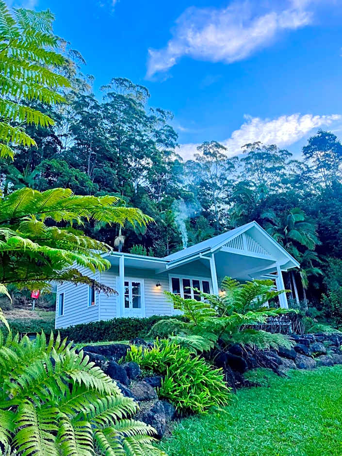 Nightcap Ridge - Byron Bay Hinterland