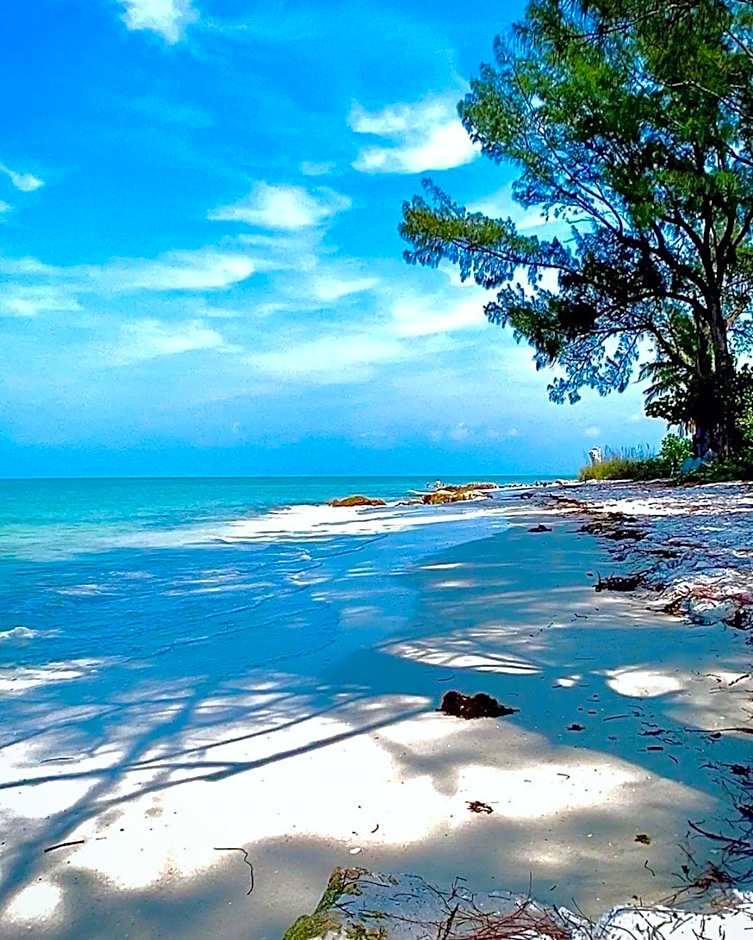 Estero Beach And Tennise Club 1008 B
