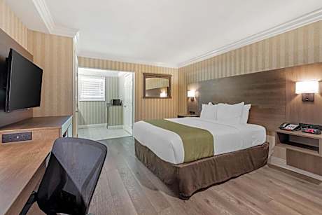 Standard Room, 1 Queen Bed, Non Smoking