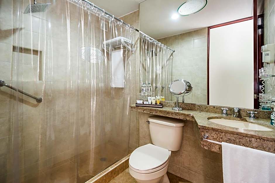 Hotel Platinum Suite