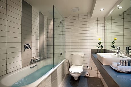 Standard Queen Shower over Bath