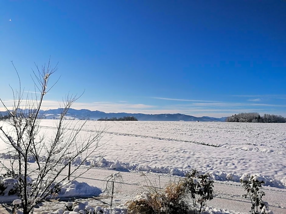 Grafhaidergut - Urlaub am Bauernhof - Auszeit am Land