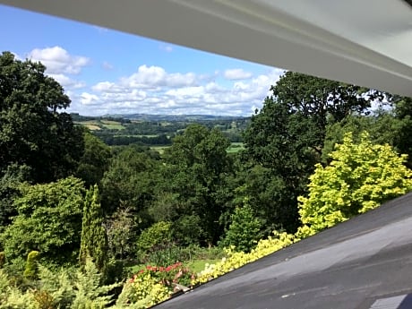 Dwynant - A Room with a View