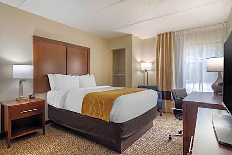 1 King Bed, Nonsmoking, Upgrade