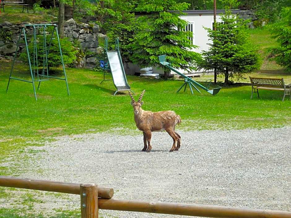 Hotel Fior di Roccia
