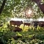 Tiny Houses Bij De Compagnons