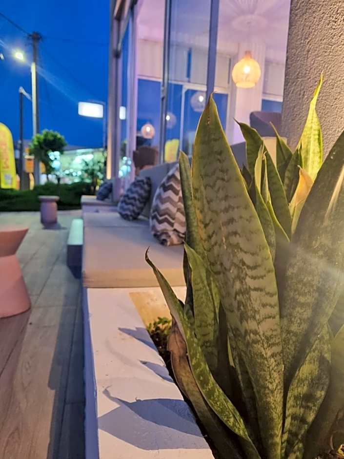 Leonidas Studios & Apartments