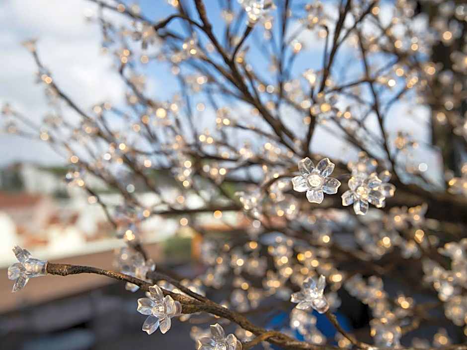 room00 Lisboa Hostel