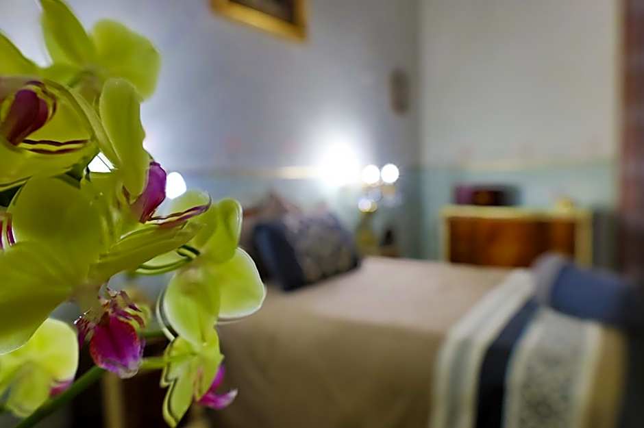 Azcami Boutique Hotel