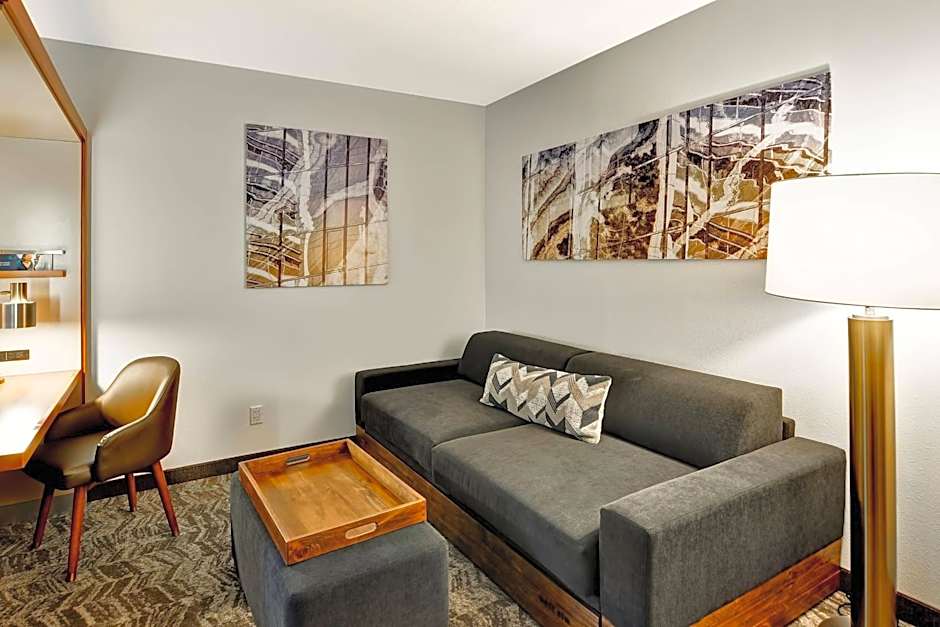 SpringHill Suites By Marriott Columbia Fort Meade Area