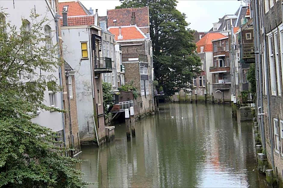 Blom aan de Gracht