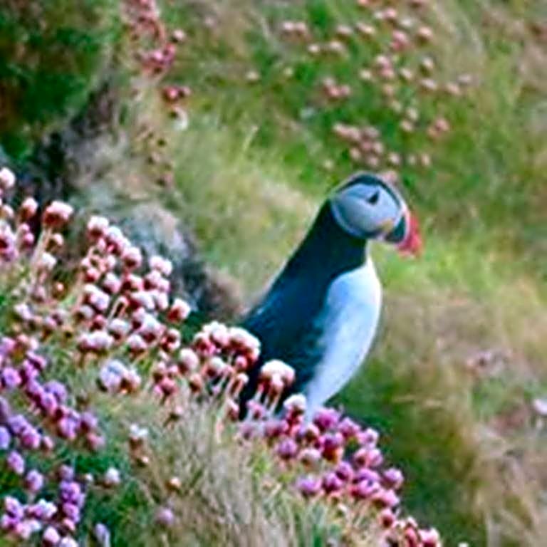 Windhaven Camping and B&B