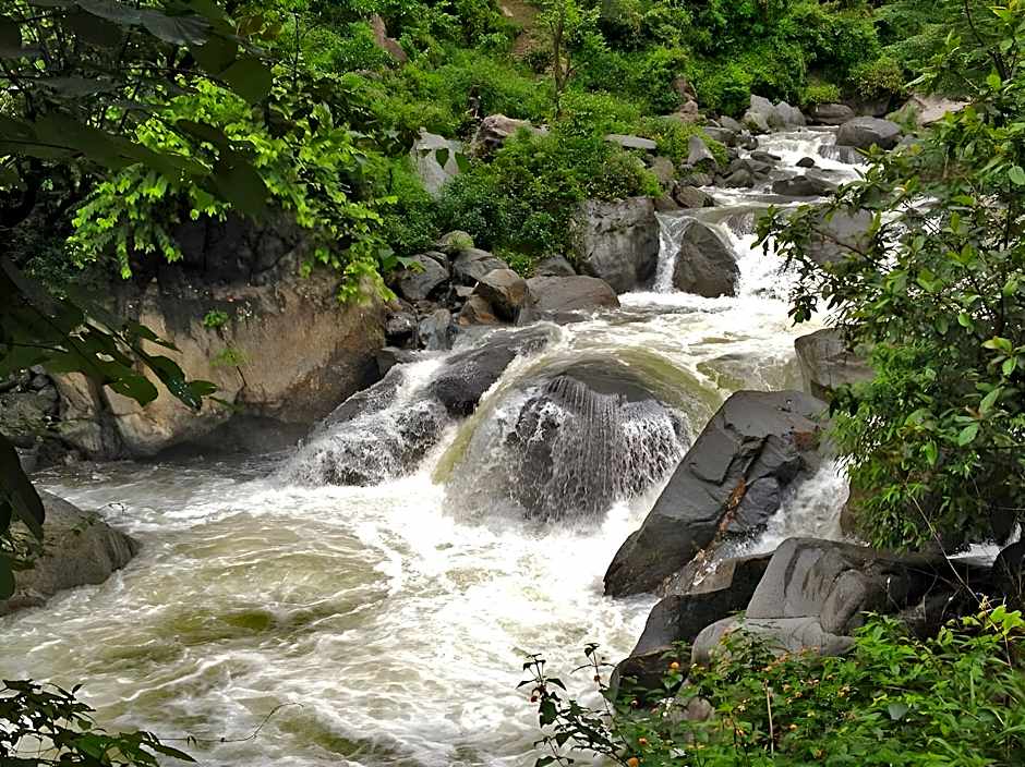 Soulitude by the Riverside