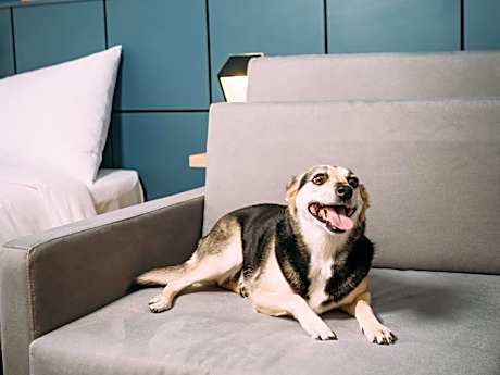 Ibis Styles Pocos De Caldas