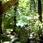 Mount Tutu Eco-Sanctuary