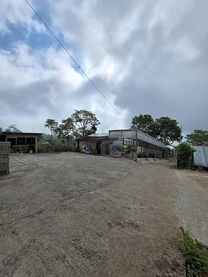 Wanagiri Campsite
