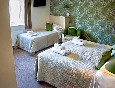 Family Room with Shower "Not Pet Friendly"