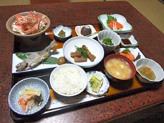 Hatsushiro Ryokan