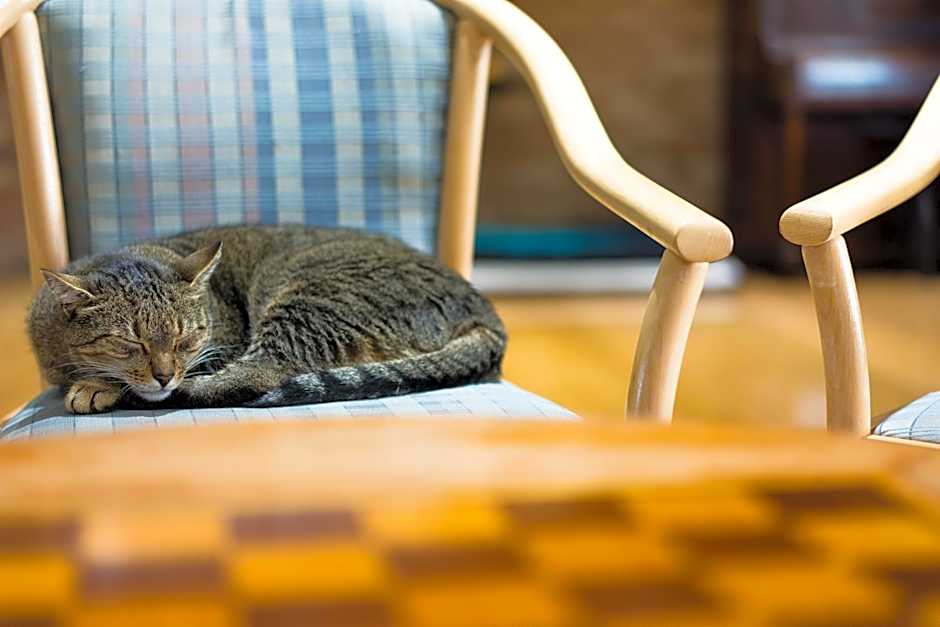 Farnham Court Motel and Restaurant