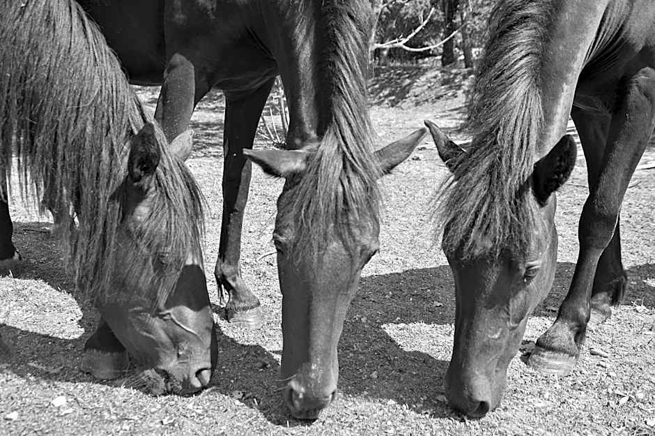 Relais Ciavatta Country Hotel