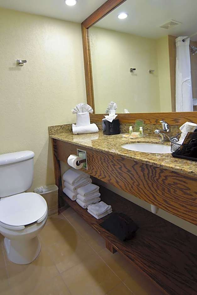 Holiday Inn Edison at Midtown By IHG
