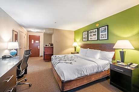 King Room - Non-Smoking