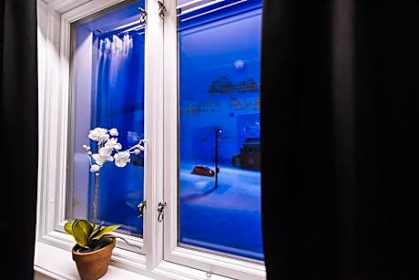 Bed in 4-Bed Mixed Dormitory Room with Sink