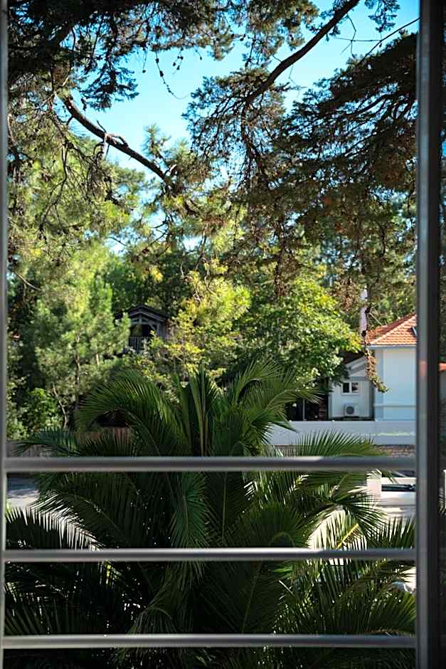 Hotel de la Plage - Reouverture apres renovations