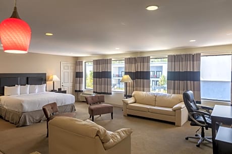 Deluxe King Suite