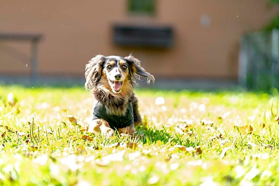 Sora Hotel Karuizawa Outlet