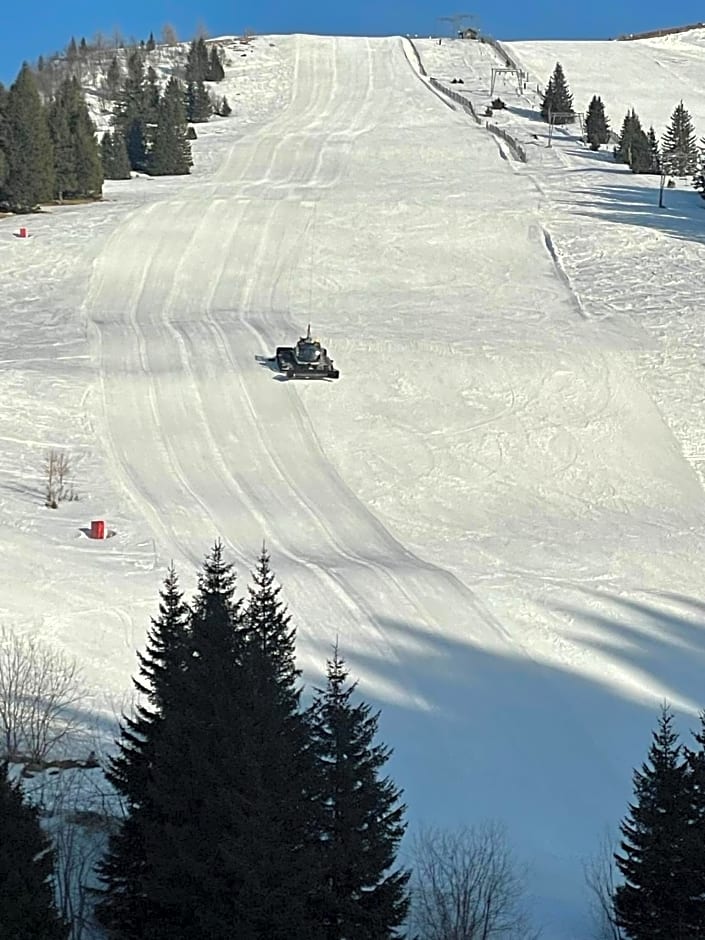Hotel Koralpe