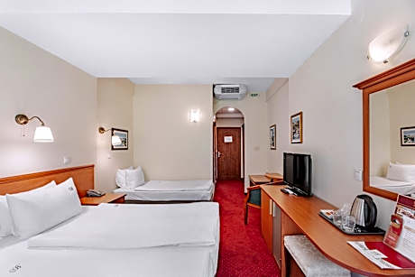 Triple Room with Mountain View