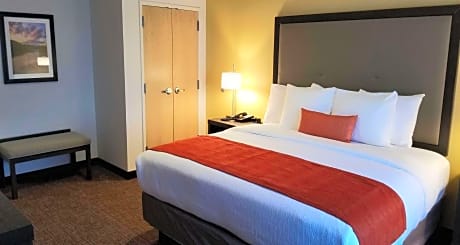 Suite King Bed Mob Accessible Walkin Shower Sofabed For One Person Fridge Non-Smoking Full Breakfast