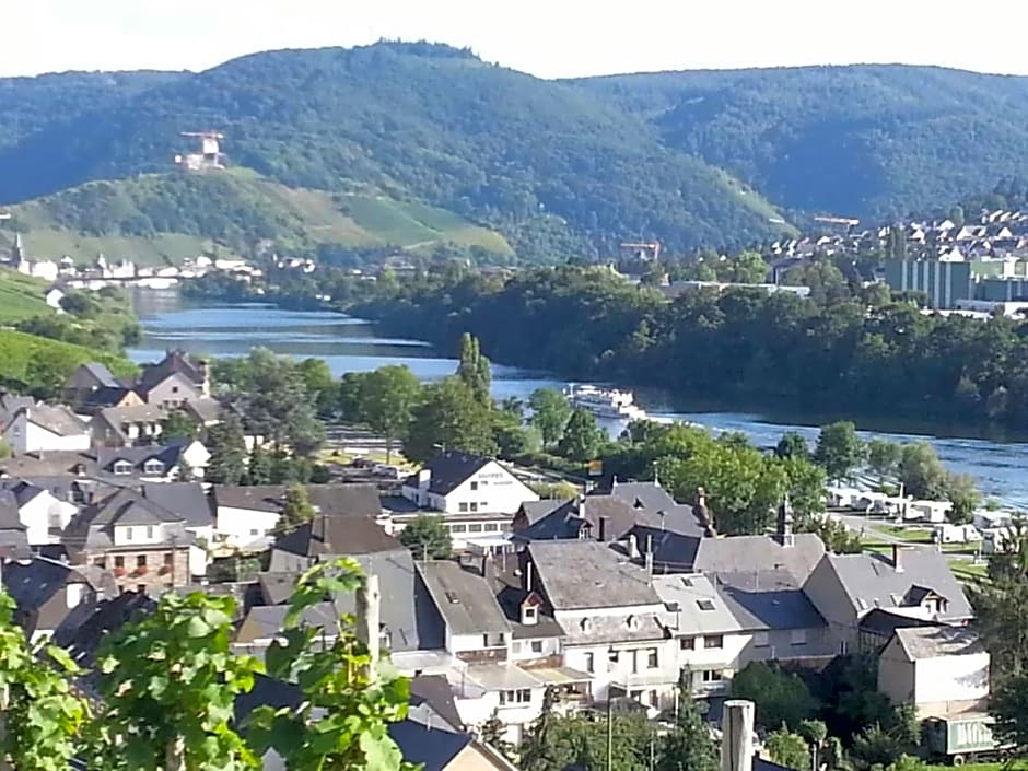 Weinhaus Hotel zum Josefshof