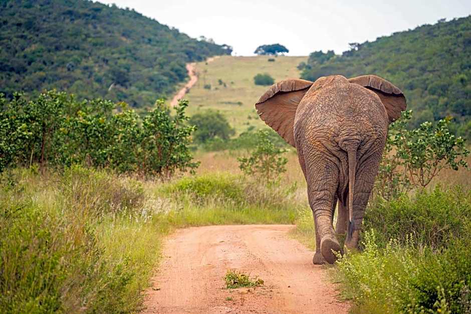 Ekuthuleni Lodge