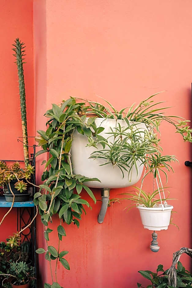 tra il borgo e il mare