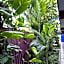 Siesta Suites Boutique Hotel